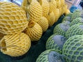 stack of green melon and yellow watermelon Royalty Free Stock Photo