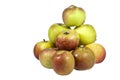 Stack of Green and Red Juicy Apples Royalty Free Stock Photo