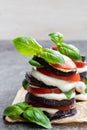 Stack of grilled eggplant with tomato and mozzarella on grey stone table Royalty Free Stock Photo