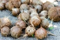 Stack of hairy brown coconuts