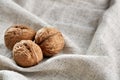 A stack of hard shells of walnuts piled together on light grey fabric cotton tablecloth, selective focus Royalty Free Stock Photo