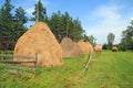 Stack hay Royalty Free Stock Photo