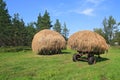 Stack hay Royalty Free Stock Photo