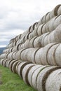 Stack of hay balls, haystack or haycock on an agricultural field. Large rolls of straw on a farm