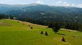 Stack of hay on a green meadow on hillside near the mountain village in sunset light Royalty Free Stock Photo