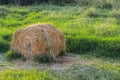 Stack of hay Royalty Free Stock Photo