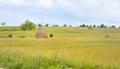 A stack of hay Royalty Free Stock Photo