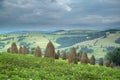 Stack of hay on a mountain meadow on a hillside.