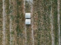 A stack of hay. Ripe grain field top view or drone shot. Harvesting period banner. Aerial view of ear of wheat, rye Royalty Free Stock Photo