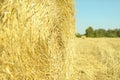 Stack of hay Straw bale on the field after harvest Royalty Free Stock Photo