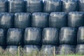 A stack of haylage bales Royalty Free Stock Photo