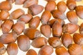 Close up stack of hazelnut with blur yellow background Royalty Free Stock Photo