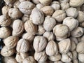 Stack of hazelnut. Hazelnut background Royalty Free Stock Photo