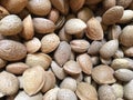 Stack of hazelnut. Hazelnut background Royalty Free Stock Photo