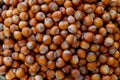 Stack of hazelnuts. Hazelnut background Royalty Free Stock Photo