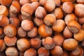 Stack of hazelnuts. Hazelnut background Royalty Free Stock Photo