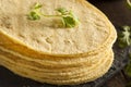 Stack of Homemade Corn Tortillas Royalty Free Stock Photo