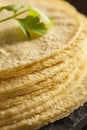 Stack of Homemade Corn Tortillas Royalty Free Stock Photo