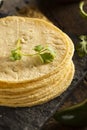 Stack of Homemade Corn Tortillas Royalty Free Stock Photo