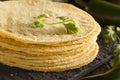 Stack of Homemade Corn Tortillas Royalty Free Stock Photo