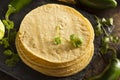 Stack of Homemade Corn Tortillas Royalty Free Stock Photo