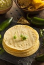 Stack of Homemade Corn Tortillas Royalty Free Stock Photo