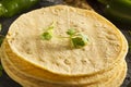 Stack of Homemade Corn Tortillas Royalty Free Stock Photo