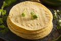Stack of Homemade Corn Tortillas Royalty Free Stock Photo