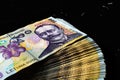 Stack of LEI Romanian money. RON Leu Money European Currency Royalty Free Stock Photo