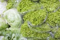 stack of lettuce in the market