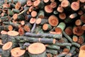 A stack of log cuttings Royalty Free Stock Photo