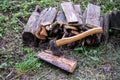 Stack of logs with axe