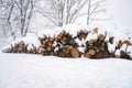 Stack of logs covered in snow in the mountains during heavy snowfall Royalty Free Stock Photo