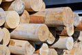 Stack of logs lit by the sun Royalty Free Stock Photo