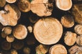 Stack of logs. natural wooden background with timber. log wall Royalty Free Stock Photo