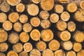 Stack of logs. natural wooden background with timber. log wall Royalty Free Stock Photo