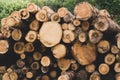 Stack of logs. natural wooden background with timber. log wall Royalty Free Stock Photo