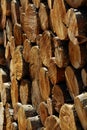 Stack of Logs Pine Trees Royalty Free Stock Photo