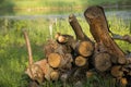 Stack of logs on the shore of the lake. Barbecue time