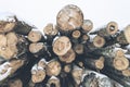 Stack of logs in a snow covered pile. Close-up. Horizontal layout Royalty Free Stock Photo