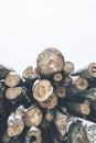 Stack of logs in a snow covered pile. Vertical layout Royalty Free Stock Photo