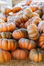 Stack lot of Autumn scenic pumpkins at outdoor farmers market on straw ground on display for sale ready for Halloween