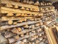 Stack of lumber logs