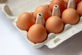 Stack of many brown and speckled fresh raw chicken eggs in the cardboard tray box packaging for sale in supermarket Royalty Free Stock Photo