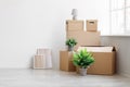 Stack of many different cardboard boxes with goods and green plants in pots on floor on white wall background