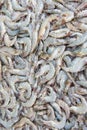 Stack of many fresh shrimp on fish market jetty. For seafood, food, kitchen Royalty Free Stock Photo