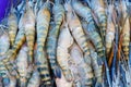 Stack of many fresh shrimp on fish market jetty. For seafood, food, kitchen Royalty Free Stock Photo