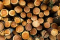 Stack of many sawn logs of pine trees Royalty Free Stock Photo