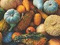 Stack of Multicolored Fall Pumpkins, Squash and Gourds Colorful Vegetables Background Shot from Directly Above