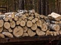 Stack of natural wooden logs. pile wood cut background Royalty Free Stock Photo